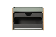 Waschbeckenunterschrank BM94 - Line Reed Green L - Schilfgrün /Coast Evoke Eiche